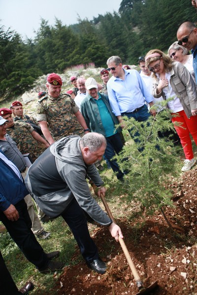 Cedar tree in memory of the Lebanese Commandos Regiment founder